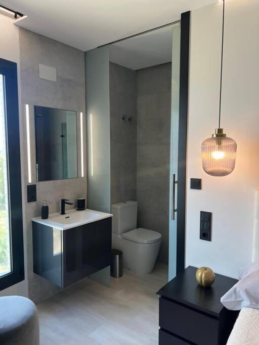Suite Detallista Y Piscina Vistas En Azotea Comun ムルシア エクステリア 写真